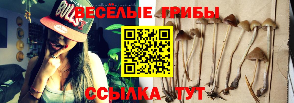 Вичуга  Псилоцибиновые грибы мицелий  как найти закладки  Вход с VPN  Псилоцибиновые грибы ЛСД 