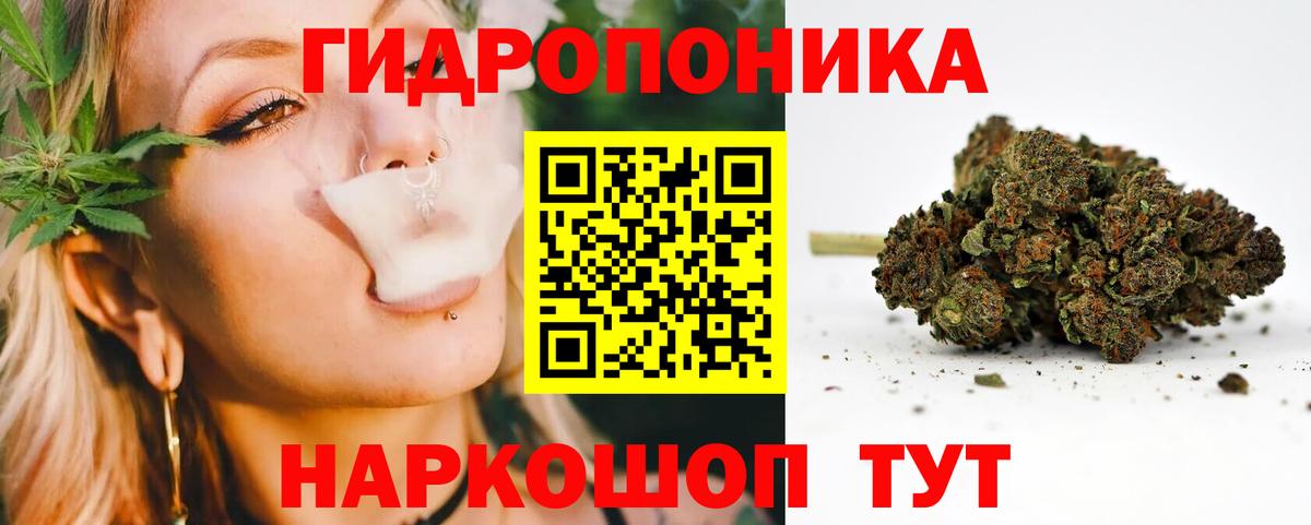 Конопля White Widow  Вход с VPN  Вичуга  Марихуана LSD WEED  МАРИХУАНА ГИДРОПОН  Каннабис тримм 